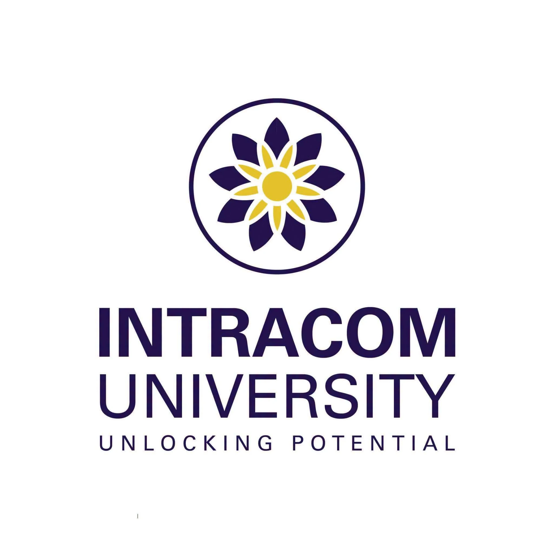Logo Trường Đại học Intracom